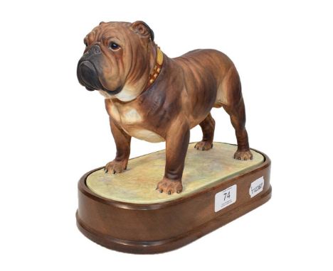 Royal Worcester model The Bulldog, by Doris Lindner, on a wooden plinth