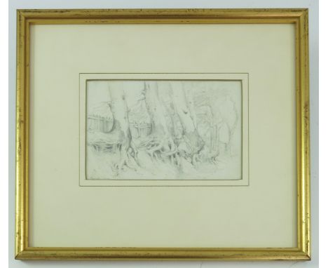 PENCIL SKETCH TREES, KNOWLE, KENT, LABELLED VERSO E W COOKE RA APPROX 16.5 X 10 cm