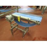 Stainless Steel Conveyor, 10" W X 40" L, no motor (Required Loading Fee $50.00 Norm Pavlish 402-