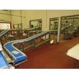 Stainless Steel Incline Conveyor with 90º curve, 12" W X 33' L plastic belt, 27" infeed, 93"