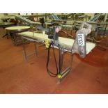Stainless Steel Conveyor, 12" W X 90" L plastic belt, Baldor AC Motor, 110 VAC (Required Loading Fee