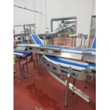 Stainless Steel Incline Conveyor with curve, 12" W X 41' L plastic belt, 30" infeed, 66"