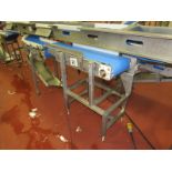 Stainless Steel Conveyor, 9" W X 43" L plastic belt, stainless steel motor (Required Loading Fee $