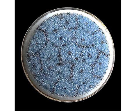 1 Large medium early 20th century CORALENE glass button. Coralene glass is made of tiny little beads of glass that are cement