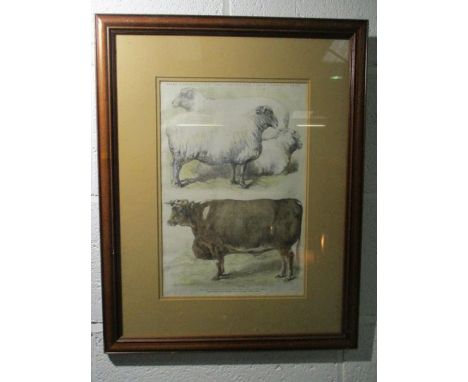 A framed antique print "Prize animals at the Smithfield Club Cattle Show" circa 1860's, showing a Cross-bred Leicester Southl
