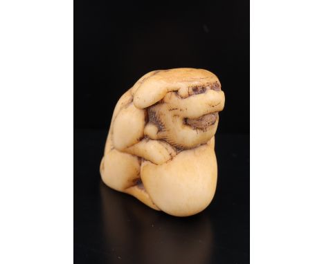 An Edo Japanese antler netsuke in the form of a shishi and tama / ball, 33 mm