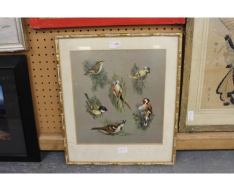 After Raymond Watson, colour print, British garden birds, in gilt bamboo effect frame and glazed
