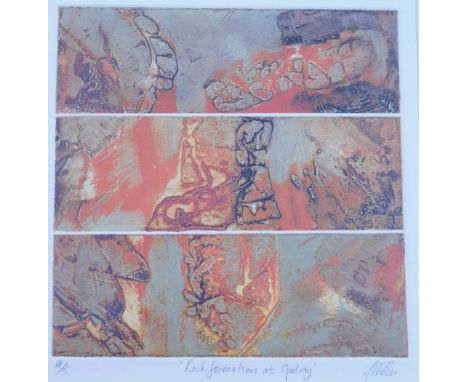 Michael Hughes (20thC). Potterhanworth Woods, triptych, 19cm x 12cm, signed and titled to the mount, various other prints, pi