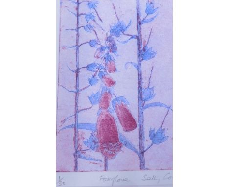 Sally Corbett (20thC). Foxglove, artist signed print, 1/30, 15cm x 9cm, another limited edition print 1/30, various other pic