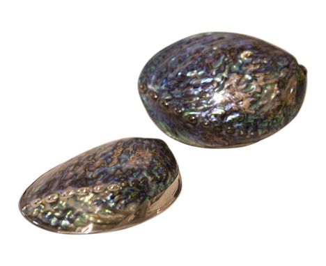 2 Große und dekorative Abalone Muscheln, innen versilbert, mit Schachtel 15 cm 13,5 cm lang | 2 Large and decorative abalone 