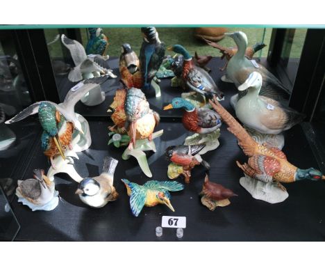 Collection of assorted Ceramic Goebel and other Bird figurines 