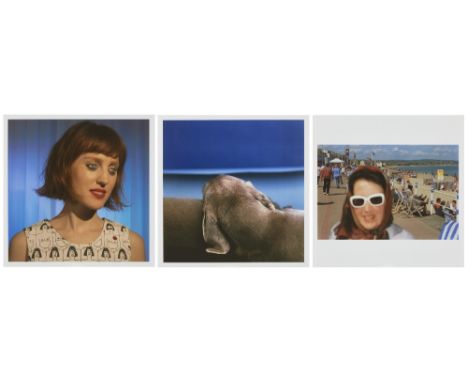 Laurie Simmons (American b. 1949-); William Wegman (American, born 1943); Martin Parr (British b. 1952-), How We See / Charlo