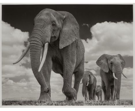 David Yarrow, British, b.1966- The Garrison, 2016; pigment print in black and white on wove, signed, dated and numbered 8/12 