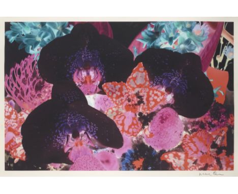 Marc Quinn, British b.1964- At the Far Edges of the Universe No. 1, 2010; digital pigment print in colours on Somerset photo 