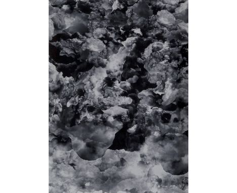 Case Simmons & Andrew Burke, American b. 1983 & b. 1982- Clouds # 3, 2008; light jet print in colours on photo paper, signed 