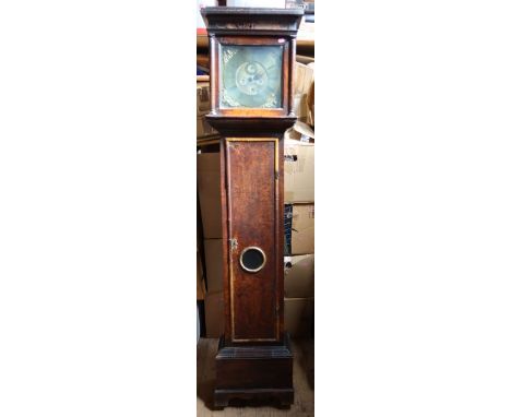 An antique Mulberry wood cased long case clock, the square dial inscribed William Haiter London, with weights and pendulum