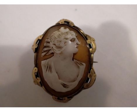 Pinchbeck mounted shell cameo brooch, 30 x 40 mm. UK P&amp;P Group 1 (£16+VAT for the first lot and £2+VAT for subsequent lot