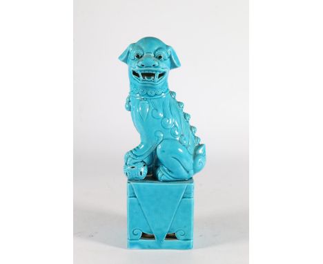 Chinese turquoise blue glazed porcelain temple dog model, 25cm tall.&nbsp; 