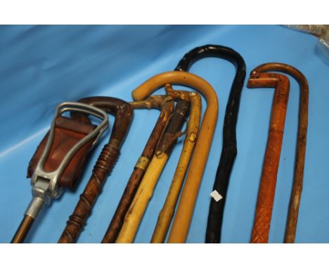 A COLLECTION OF ASSORTED WALKING STICKS AND A SHOOTING STICK