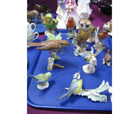 Eleven Goebel Pottery Bird Models, including Budgerigar, Barn Owl, Blue Tit, Nightingale, Chaffinch, Robin, Blue Tit, Wren an