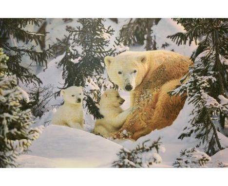 After Steven Townsend (b.1955), coloured print on canvas, 'Warmth of Nature', A polar bear and two cubs, limited edition 21 o