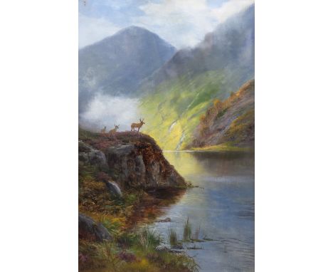 Daniel Sherrin (British, 1868-1940) 'Among the heather'oil on canvassigned76 x 50cm***CONDITION REPORT***Oil on original canv