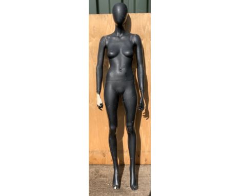 Female Mannequin 