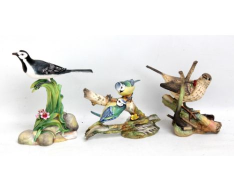 COALPORT; three limited edition bird studies comprising 'Blue Tit', 'Song Thrush' and 'Pied Wagtail', each numbered 153, 699 