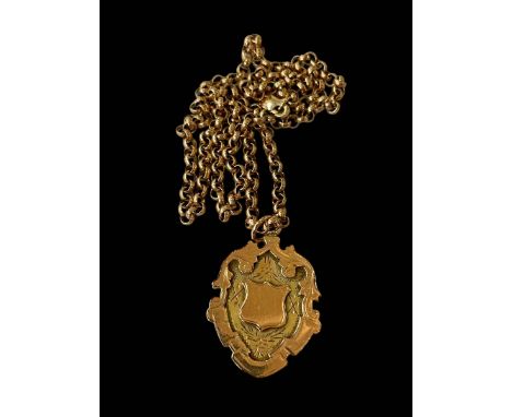 9ct gold chain link necklace with 9ct medallion.