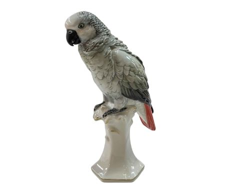 Karl Ens African Grey Parrot No 5731.