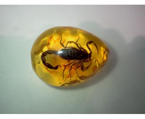 Scorpion preserved in amber resin. UK P&amp;P Group 1 (£16+VAT for the first lot and £2+VAT for subsequent lots) 