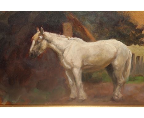 Early 20th Century oil on panel, portrait of a white horse in a landscape, 7ins x 11.5ins 