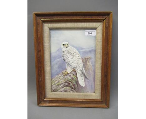 Malvern porcelain plaque painted with a Gyrfalcon, signed R. Poole, 9.5ins x 6.5ins, framedIn good condition 
