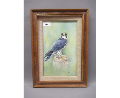 Malvern rectangular porcelain plaque, painted with a Peregrine falcon, signed R. Poole, 11ins x 6.75ins, framedProvenance of 