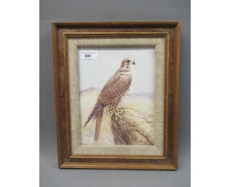 Malvern rectangular porcelain plaque, painted with a Saker falcon, signed R. Poole, 9ins x 6.75ins, framedIn good condition 