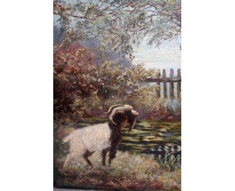 Two unframed oils on canvas, study of a ram in a landscape, and portrait of a dog, largest 20ins x 16ins 