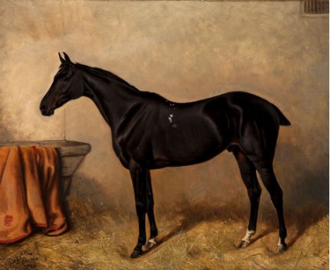 Alfred Wheeler (1851-1932) - Portrait of a black thoroughbred in a stabe  Oil on canvas Signed   A. Wheeler   and dated   189