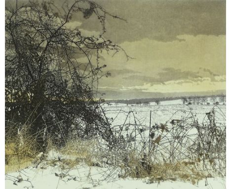 John Greenwood, coloured etching, snow landscape, signed in pencil 1981, plate size 17" x 19.5", framed