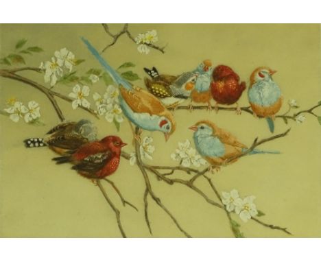 Winifred Austen (1876-1964), coloured etching, little lovelies, signed in pencil, plate size 6.75" x 10", framed