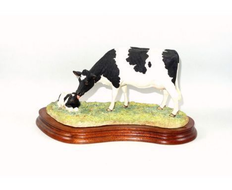 Border Fine Arts group "Holstein Friesian Cow &amp; Calf ", model B0309, by Kirsty Armstrong, limited edition 1006/1750, on w