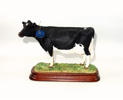 Border Fine Arts model "Holstein Cow", model B1072, by Kirsty Armstrong, limited edition 458/750, with tag, on wood base, W.2