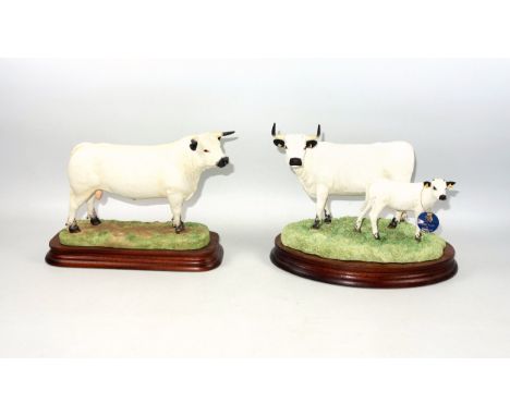 Border Fine Arts group "White Park Cow &amp; Calf", model B1603, by Ray Ayres, limited edition 91/350, with tag, on wood base