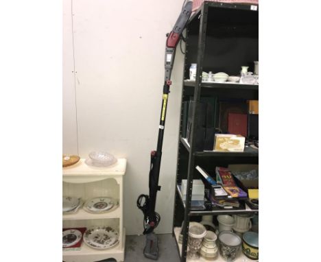 An Eckman long reach electric chainsaw