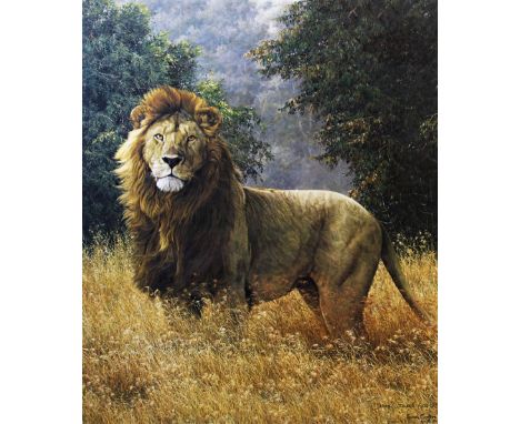 Simon Combes (1940-2004), Limited edition print on paper,  A lion in the bush,  Signed and numbered '600/850' lower right,  4