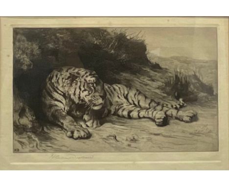 Herbert Thomas Dicksee (1862 - 1942), Tiger, etching, signed in pencil, 20cm x 30cm