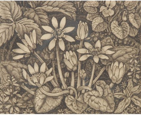 Robin Tanner (1904-1988) Lesser Celandine signed, etching, 13cm x 15.5cm