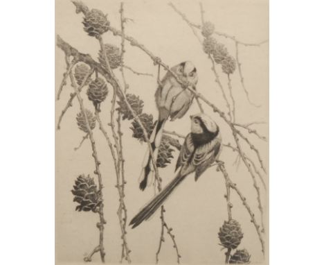 Winifred Austin (1876-1964) Long-Tailed Tits signed, titled, etching, 29.5cm x 20cm