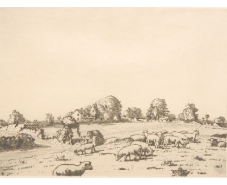 Allan Gwynne-Jones (1892-1982) Lambs on a Hillside signed, dated 1927, etching, 23cm x 30cm