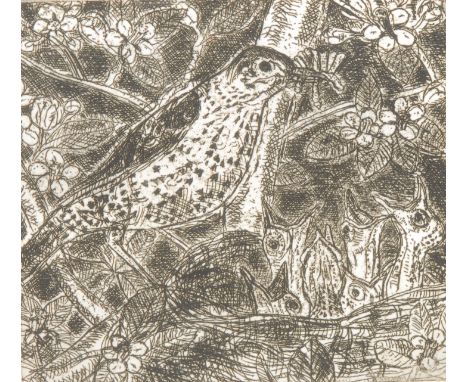 Leonard McComb RA (1930-2018) Thrush signed, dated 2004, etching, 13cm x 12.5cm