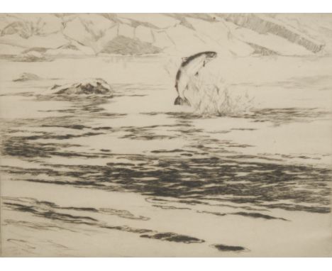 Norman Wilkinson (1878 - 1971), Fresh Run Fish, dry point etching, signed in pencil, 24.5cm x 32cm